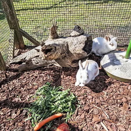 Haflingerhof Enzian By Interhome Διαμέρισμα