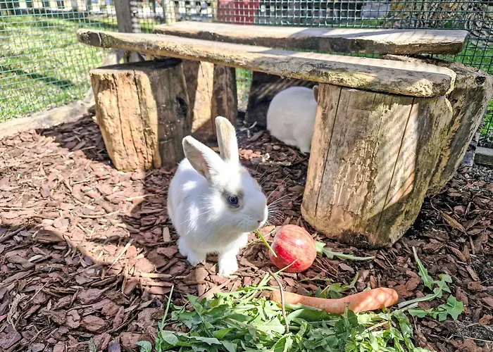 Appartamento Haflingerhof Enzian By Interhome